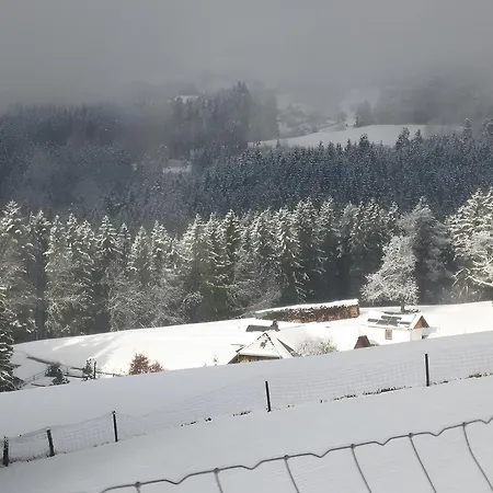 Tatil Evi Haus Antonis Triberg im Schwarzwald