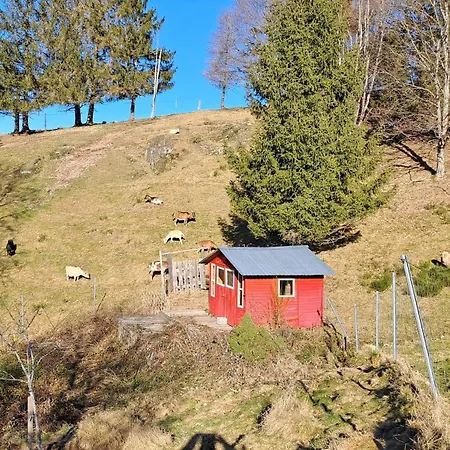 Haus Antonis Triberg im Schwarzwald