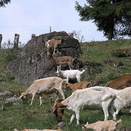 Haus Antonis