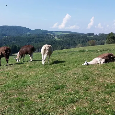 Haus Antonis Triberg im Schwarzwald